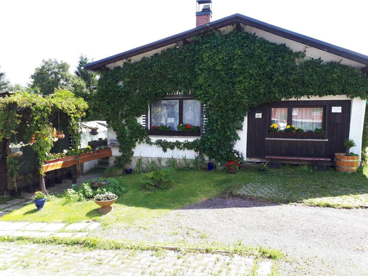 Ferienwohnung Kupfer Schmiedefeld am Rennsteig Exteriér fotografie